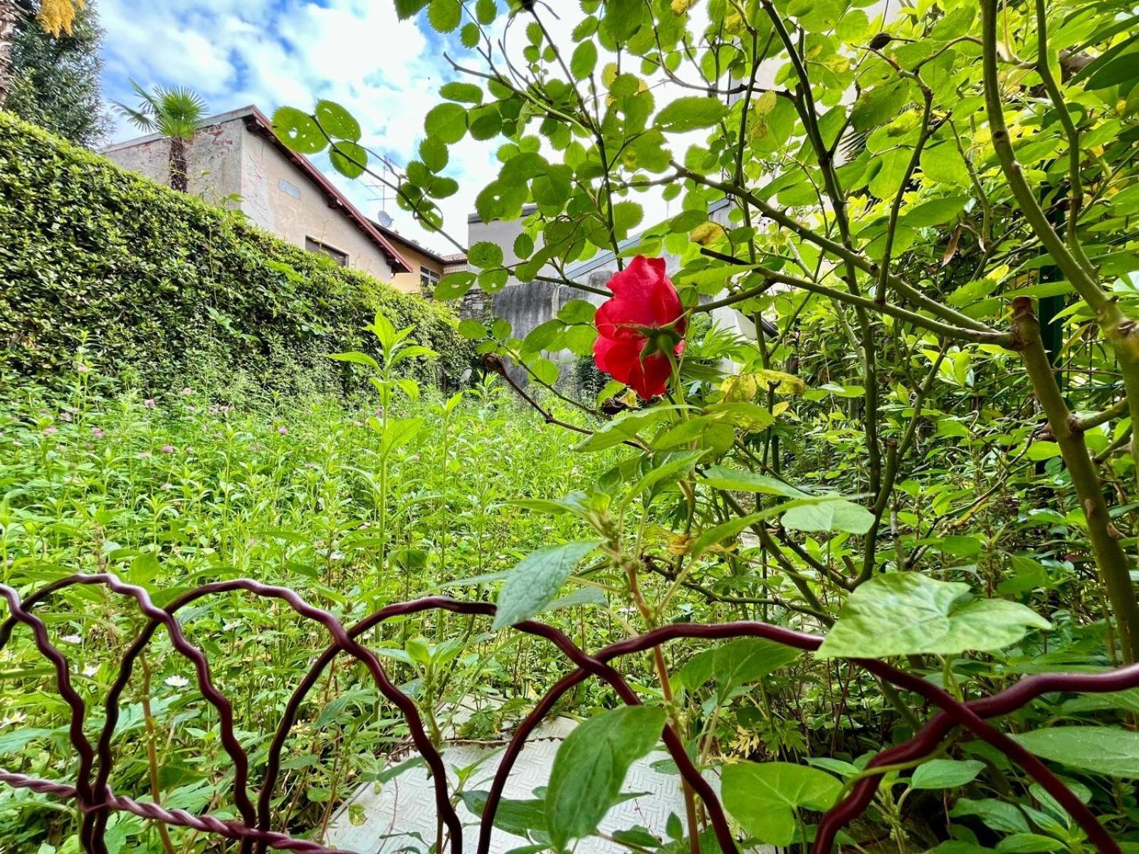 Appartamento Frida Angera Esterno foto